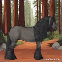 Horse Color:Grullo 