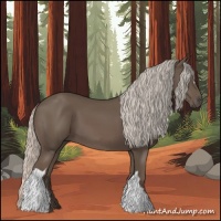 Horse Color:Silver Black 