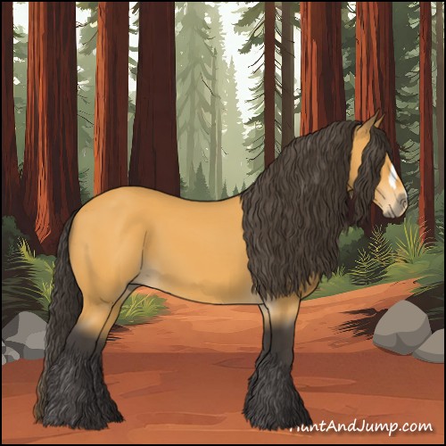Horse Color:Buckskin