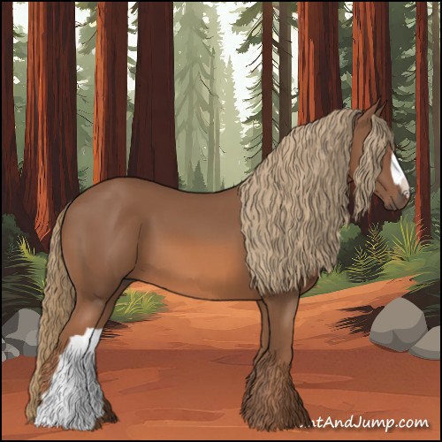 Horse Color:Chestnut 
