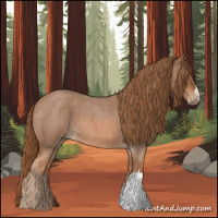 Horse Color:Red Roan 
