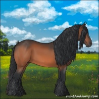 Horse Color:Brown 
