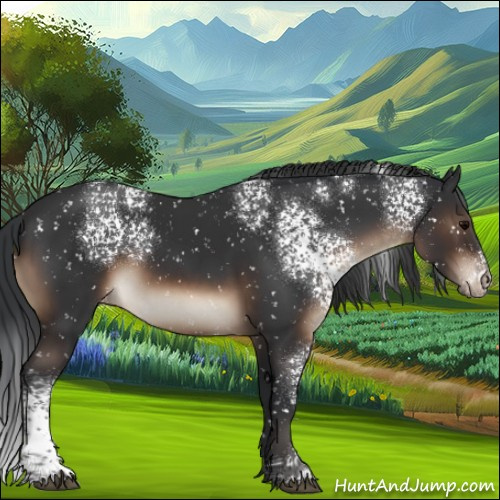 Horse Color:White Spotted Brown Snowflake Varnish