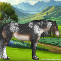 Horse Color:White Spotted Brown Snowflake Varnish