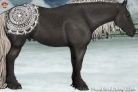 Horse Color:Liver Chestnut Mushroom 