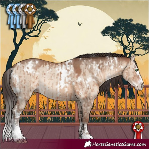 Horse Color:Sable Champagne Dun Sabino Splash Rabicano Brindle  and White Spotted Sable Champagne Dun Sabino Rabicano Brindle 