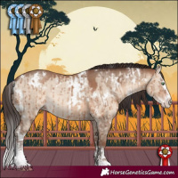 Horse Color:Sable Champagne Dun Sabino Splash Rabicano Brindle and White Spotted Sable Champagne Dun Sabino Rabicano Brindle