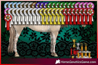 Horse Color:Chocolate Palomino Pearl Dun Tobiano Rabicano Brindle  and Grullo Pearl Tobiano Rabicano Brindle 