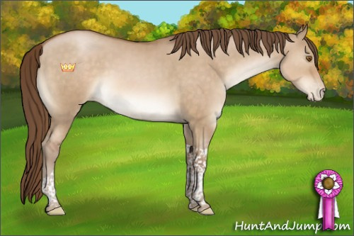 Horse Color:Brown Pearl Dun Tobiano