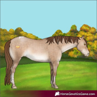 Horse Color:Brown Pearl Dun Tobiano Brindle 