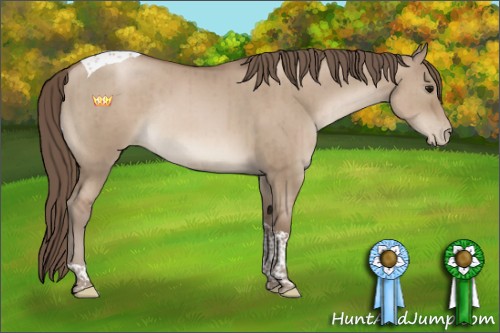 Horse Color:Grullo Pearl Tobiano Rabicano Brindle
