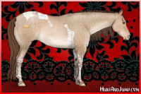 Horse Color:Brown Pearl Dun Tobiano Brindle 