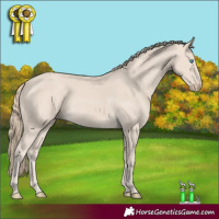 Horse Color:Smoky Creme 