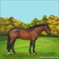 Horse Color:Brown 