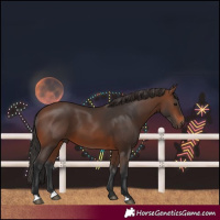 Horse Color:Brown 