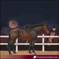Horse Color:Brown 