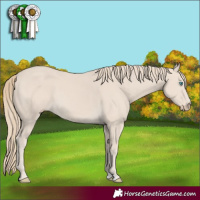 Horse Color:Smoky Creme 