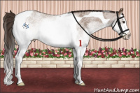 Horse Color:White Spotted Liver Red Dun Splash Tobiano 