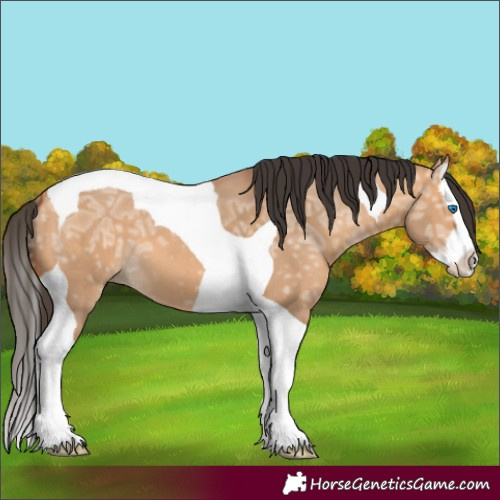 Horse Color:Bay Ice Dun Splash Tobiano 