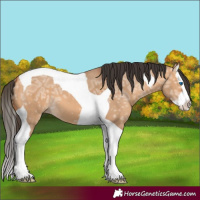Horse Color:Bay Ice Dun Splash Tobiano