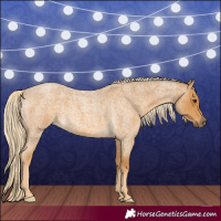 Horse Color:Palomino Roan 