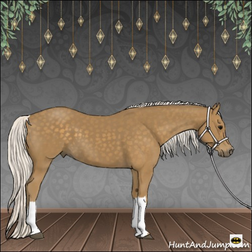 Horse Color:Silver Smoky Black 