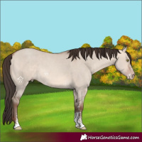 Horse Color:Amber Champagne Dun Sabino