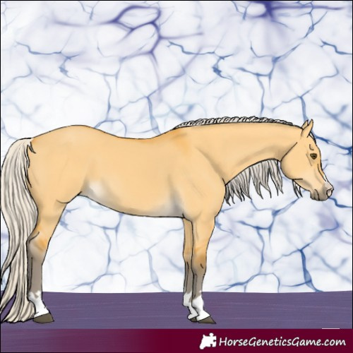 Horse Color:Silver Buckskin Dun 