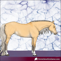 Horse Color:Silver Buckskin Dun 