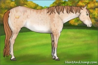 Horse Color:Brown Pearl Dun Tobiano Brindle 
