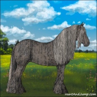 Horse Color:Black and Silver Black