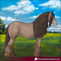 Horse Color:Classic Champagne and Classic Champagne Rabicano