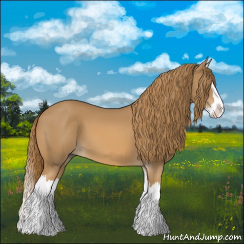 Horse Color:Chestnut Splash 