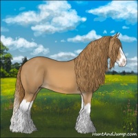 Horse Color:Chestnut Splash 