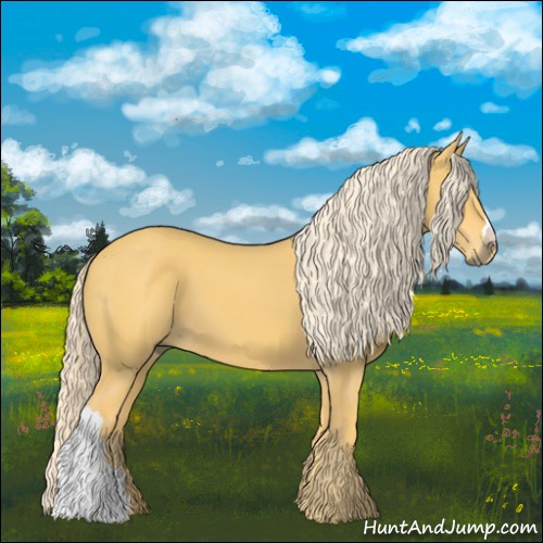 Horse Color:Palomino 