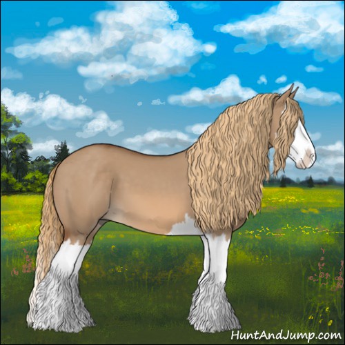 Horse Color:Red Dun Splash 