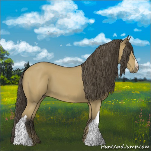 Horse Color:Buckskin 