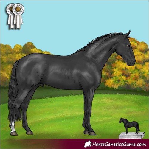 Horse Color:Black Sabino