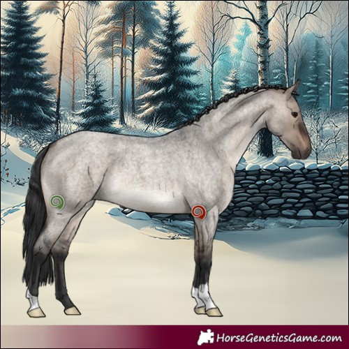 Horse Color:Brown Roan Dun 