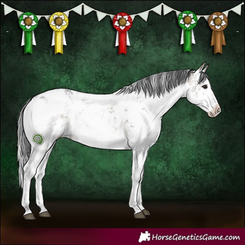 Horse Color:White Spotted Brown Dun Sabino 