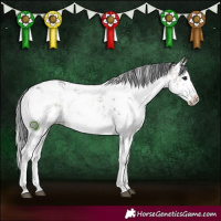 Horse Color:White Spotted Brown Dun Sabino