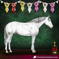 Horse Color:White Spotted Brown Dun Sabino 