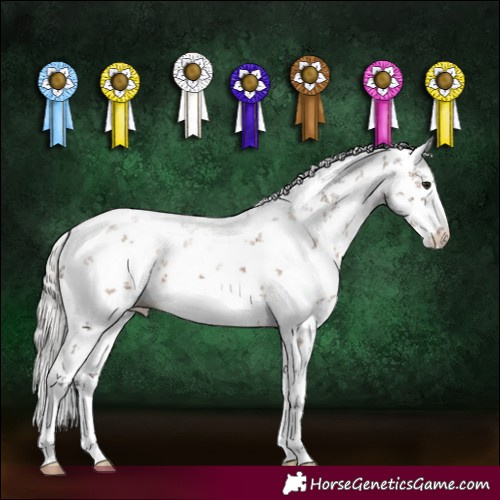 Horse Color:White Spotted Silver Brown Dun Sabino 
