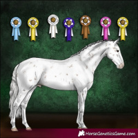 Horse Color:White Spotted Silver Brown Dun Sabino 