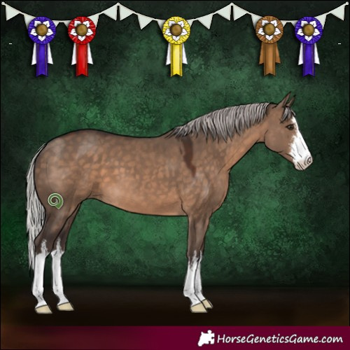 Horse Color:White Spotted Silver Brown Dun 