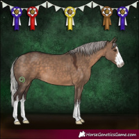 Horse Color:White Spotted Silver Brown Dun