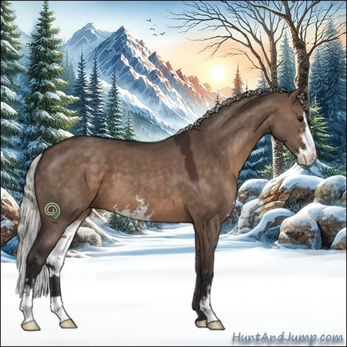 Horse Color:Silver Brown Dun Sabino 