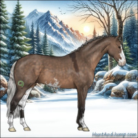 Horse Color:Silver Brown Dun Sabino 