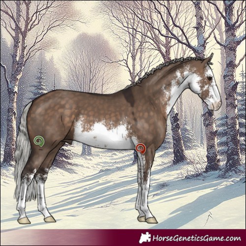 Horse Color:White Spotted Silver Brown Dun 
