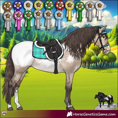 Horse Color:Brown Dun Sabino Snowcap